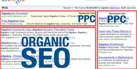 Organic SEO